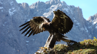 © Naturpark Karwendel / Otto Leiner